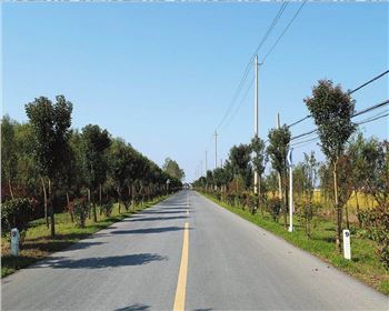  什么是公路基本建設(shè)程序？什么是公路建設(shè)項(xiàng)目經(jīng)濟(jì)評(píng)價(jià)？